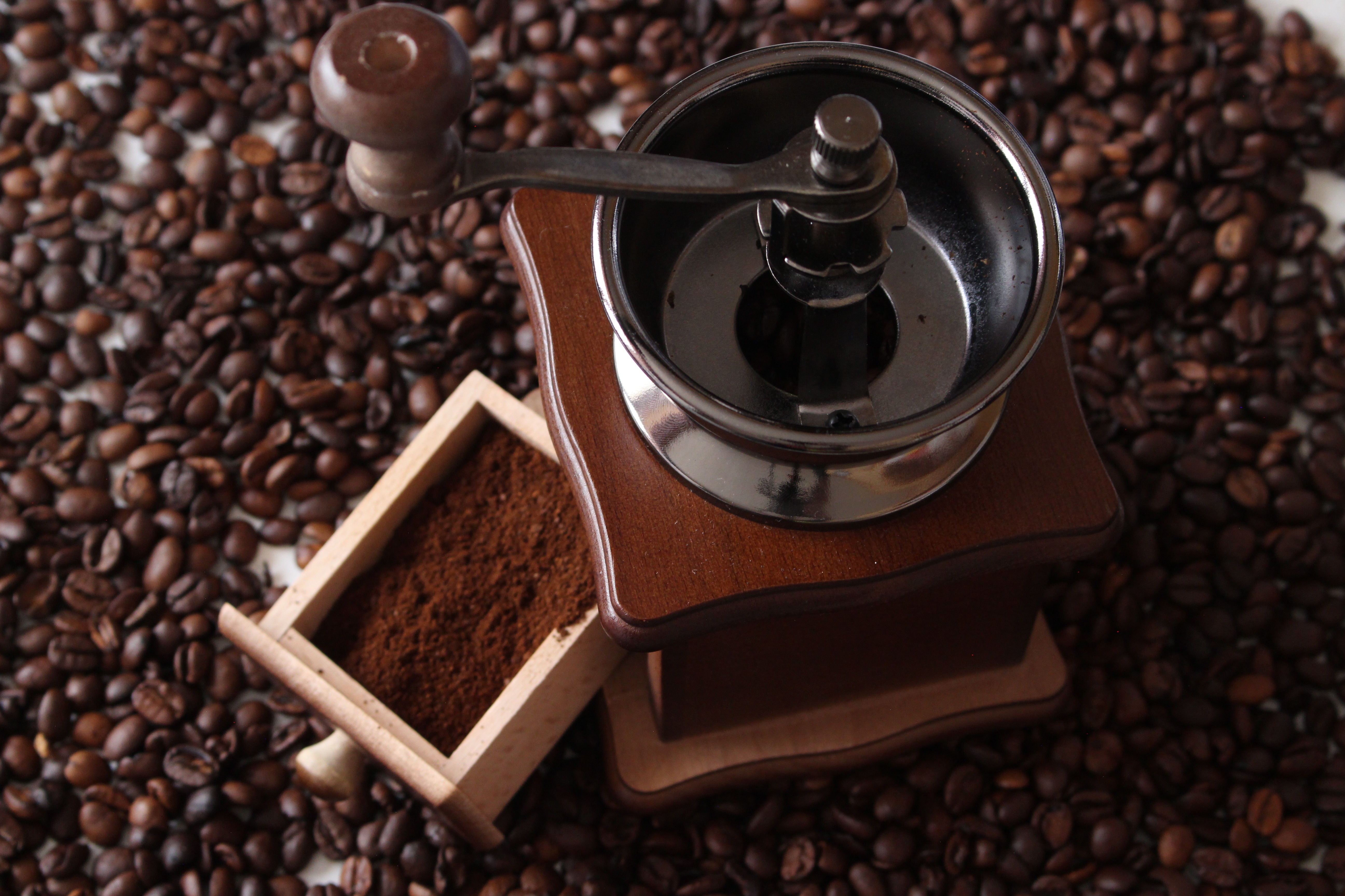 Molinos eléctricos de muelas para café de especialidad sobre una encimera de cocina